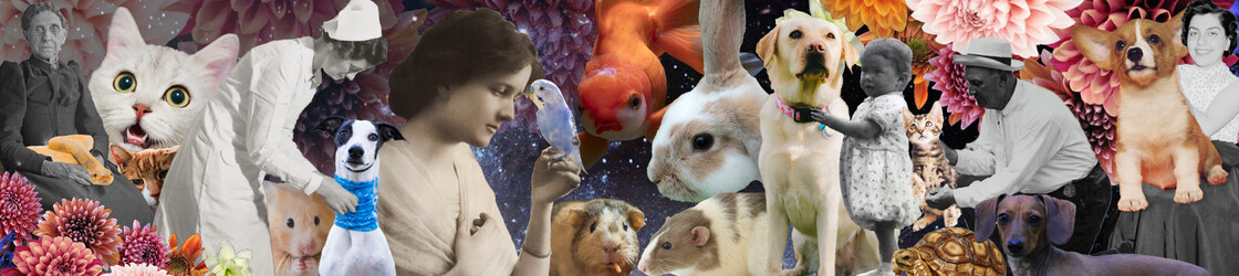 Ziemlich beste Freunde