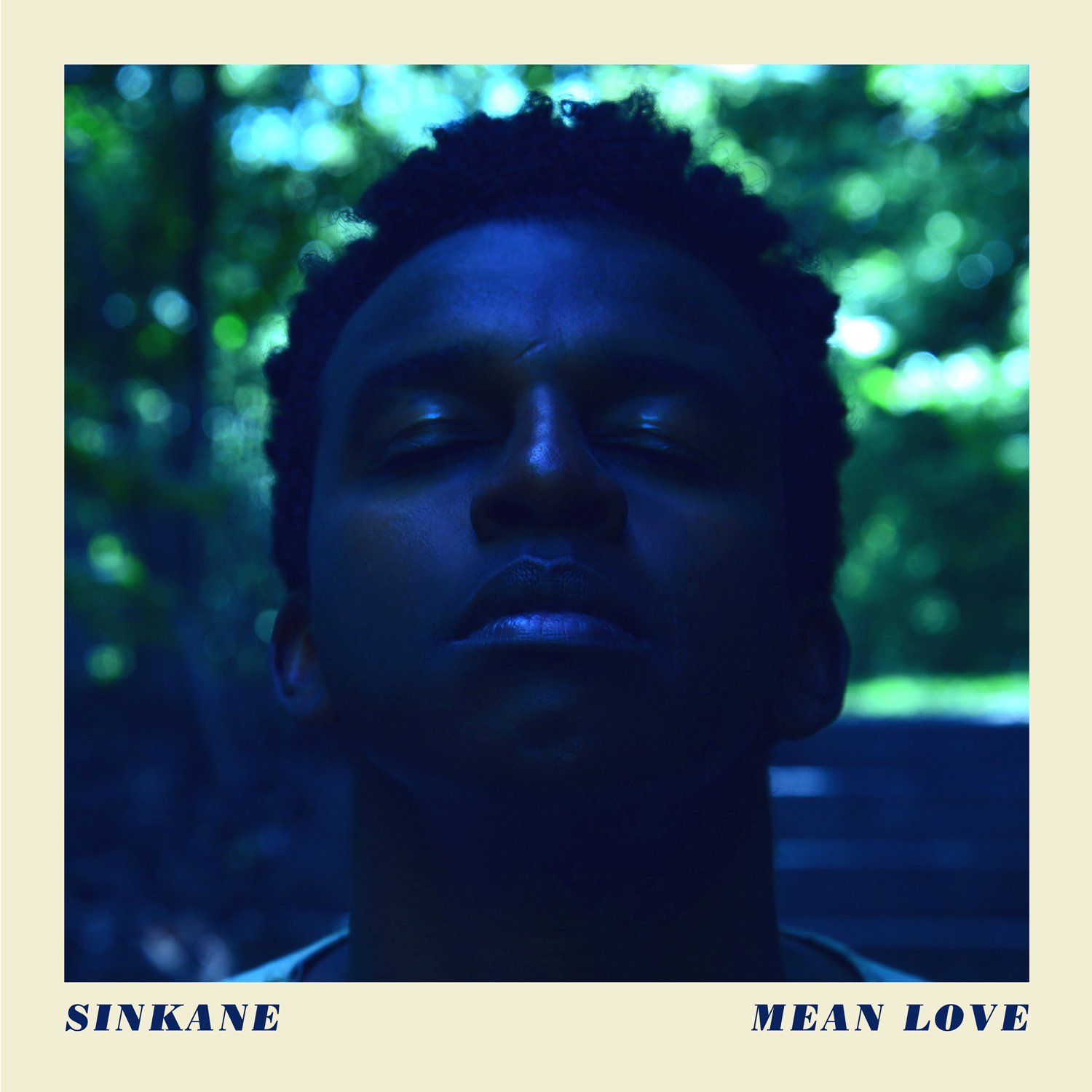 sinkane meanlove
