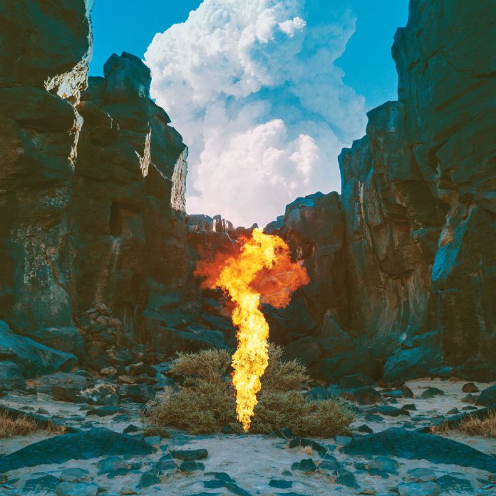 Bonobo Migration Cover