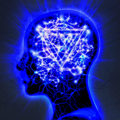 entershikari