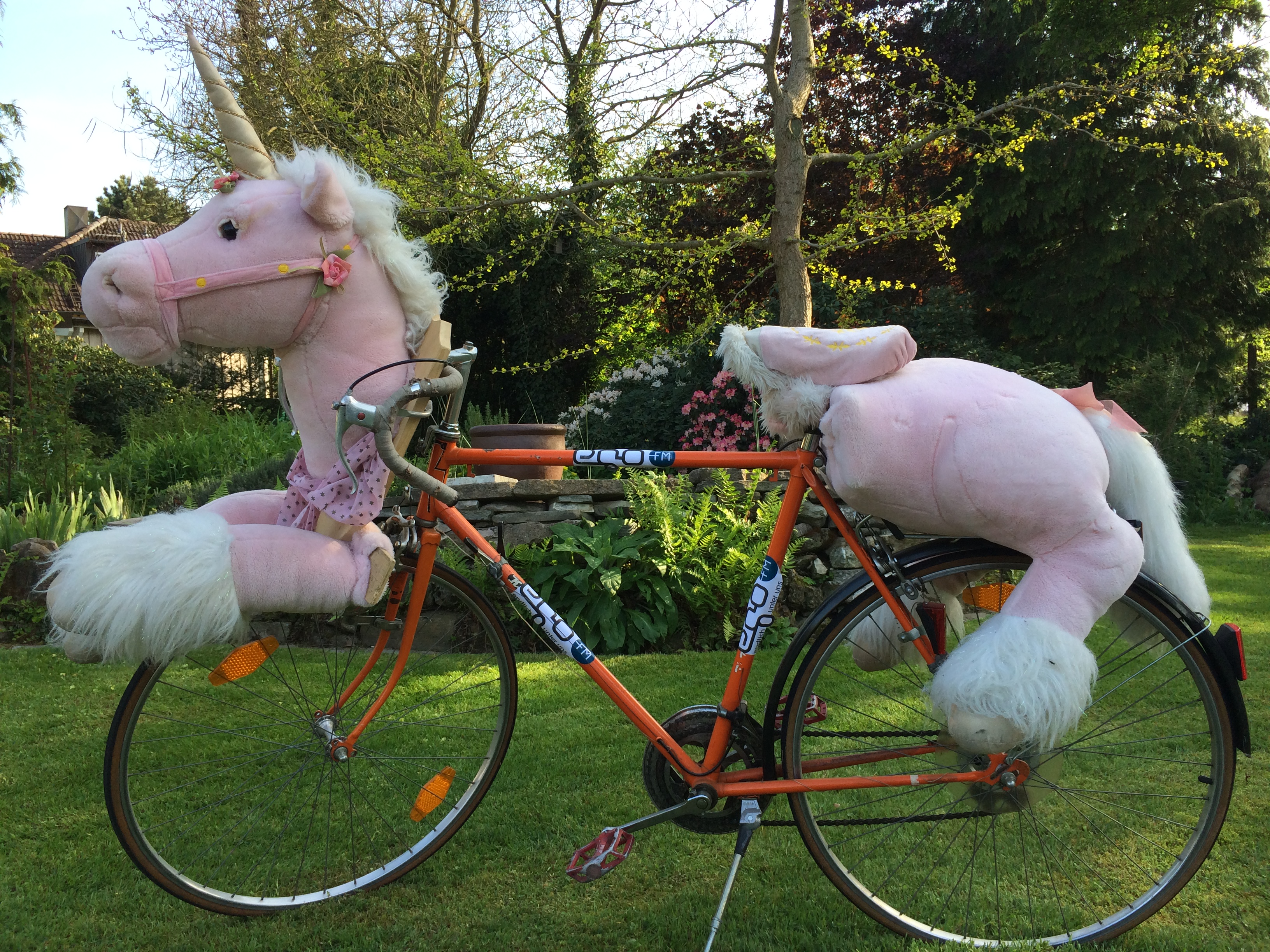 egofizierdeinbike02