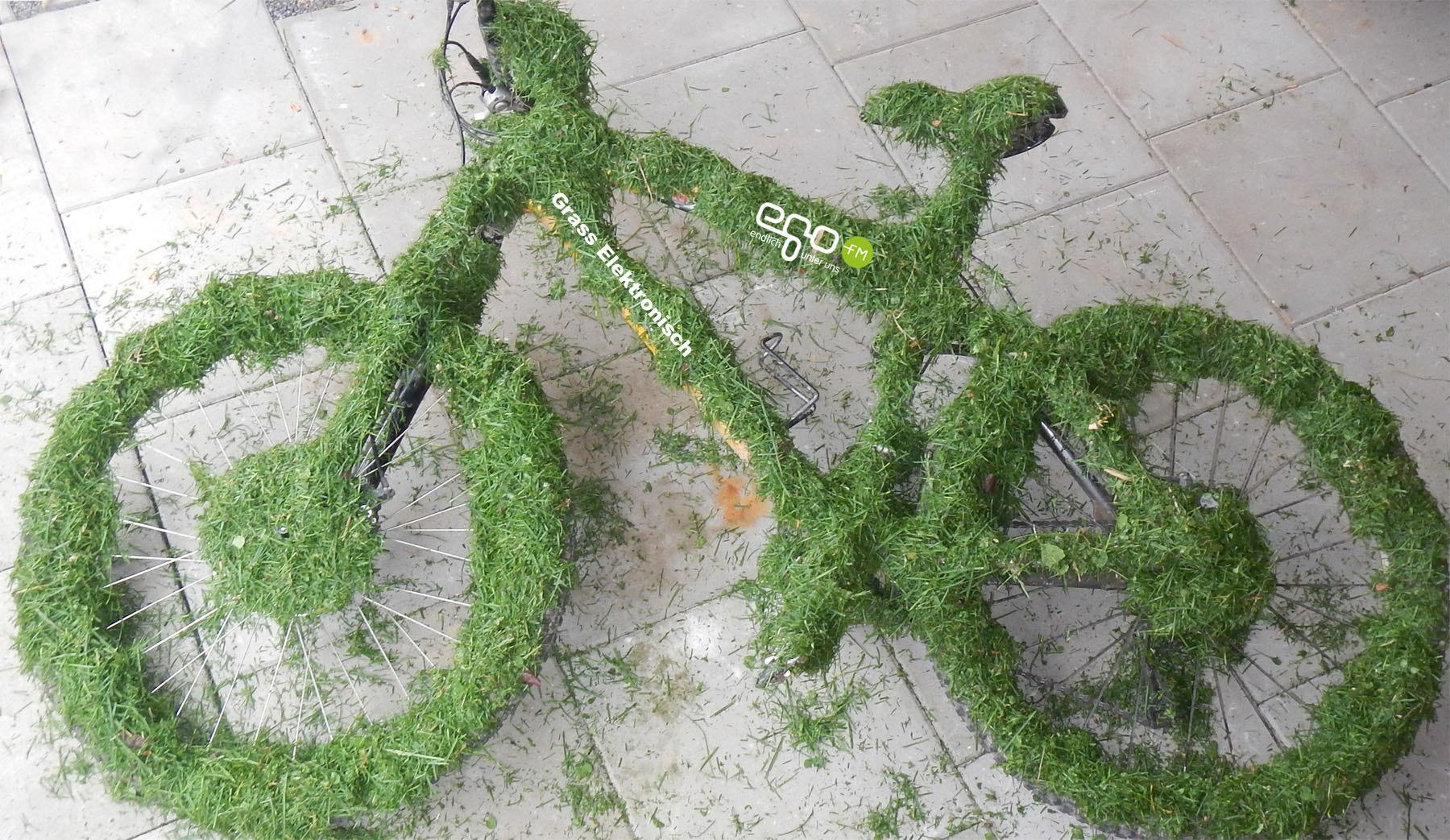 egofzierdeinbike01