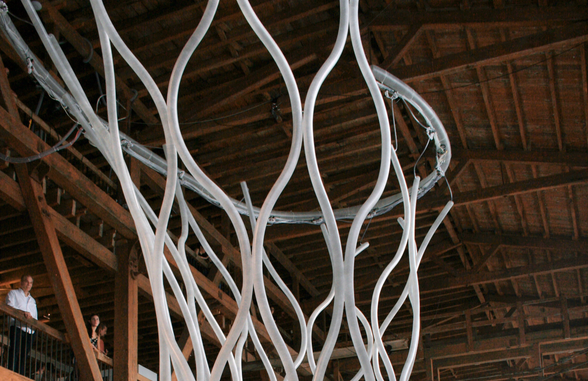 macmurtrie biomorphicwal