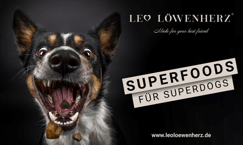 Superfoods für Superdogs von LEO LÖWENHERZ