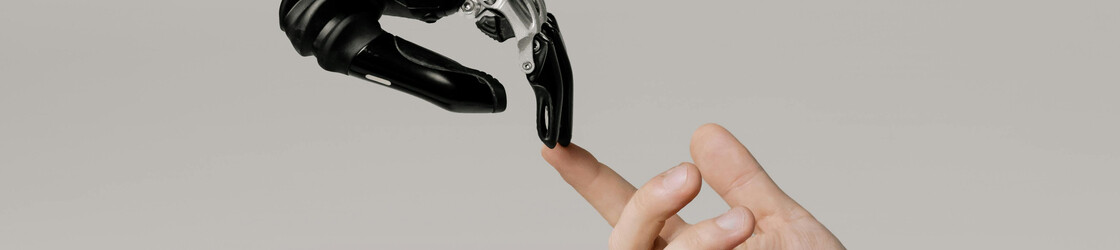 Kuriose Intelligenz