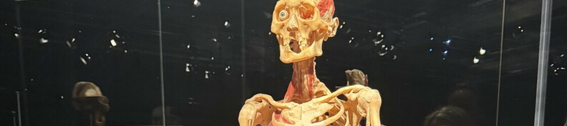 Eine Ausstellung über das Leben
