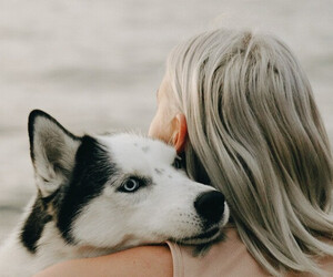 Warum wir Tiere manchmal mehr lieben als Menschen
