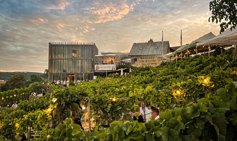 WEIN AM STEIN Festival 2024