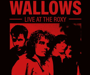 Neuer Song und Virtual Live Tour von Wallows