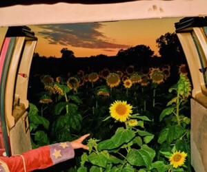 Kevin Morby: Little Wide Open