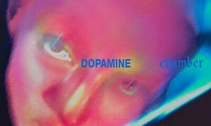 Fontaines D.C.: Dopamine Chamber